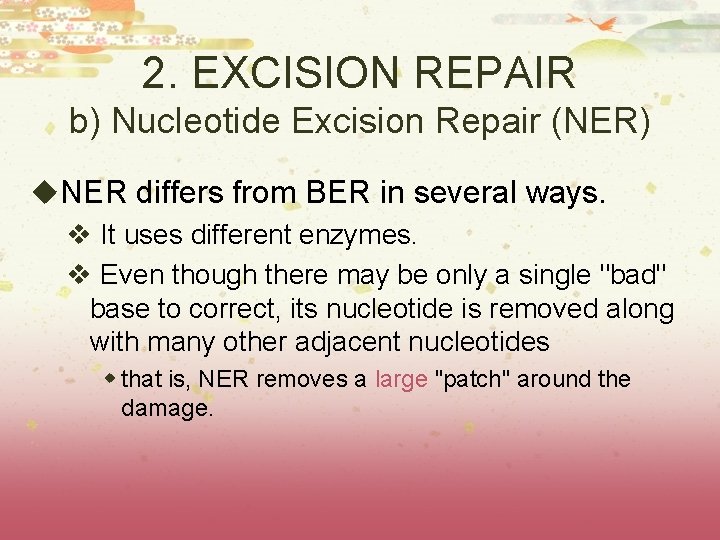 2. EXCISION REPAIR b) Nucleotide Excision Repair (NER) u. NER differs from BER in 2. EXCISION REPAIR b) Nucleotide Excision Repair (NER) u. NER differs from BER in