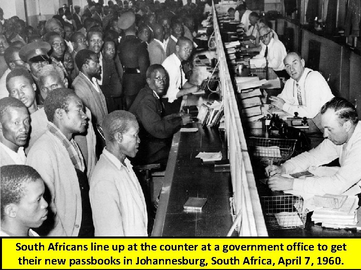 South Africans line up at the counter at a government office to get their South Africans line up at the counter at a government office to get their
