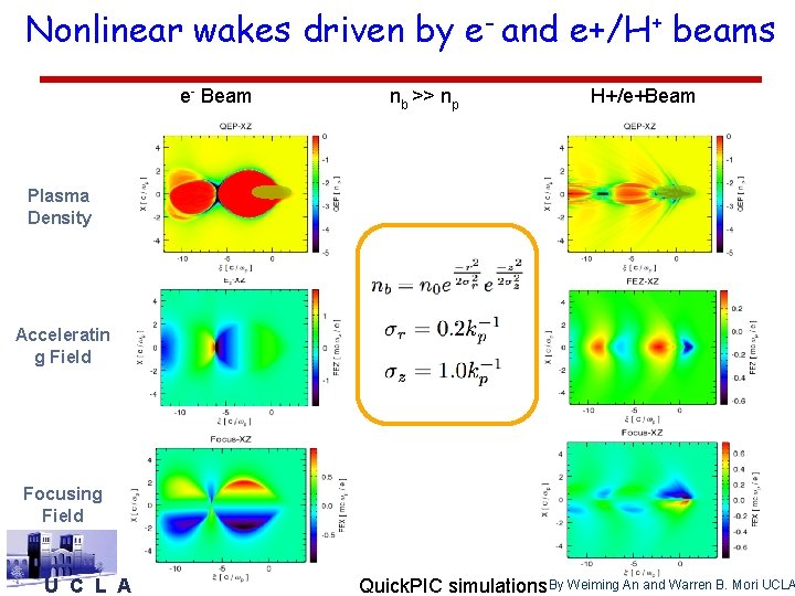 Nonlinear wakes driven by e- and e+/H+ beams e- Beam nb >> np H+/e+Beam