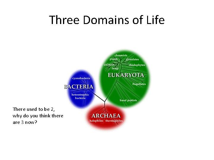 Three Domains of Life There used to be 2, why do you think there