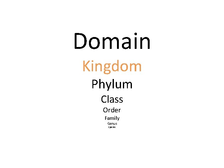 Domain Kingdom Phylum Class Order Family Genus Species 