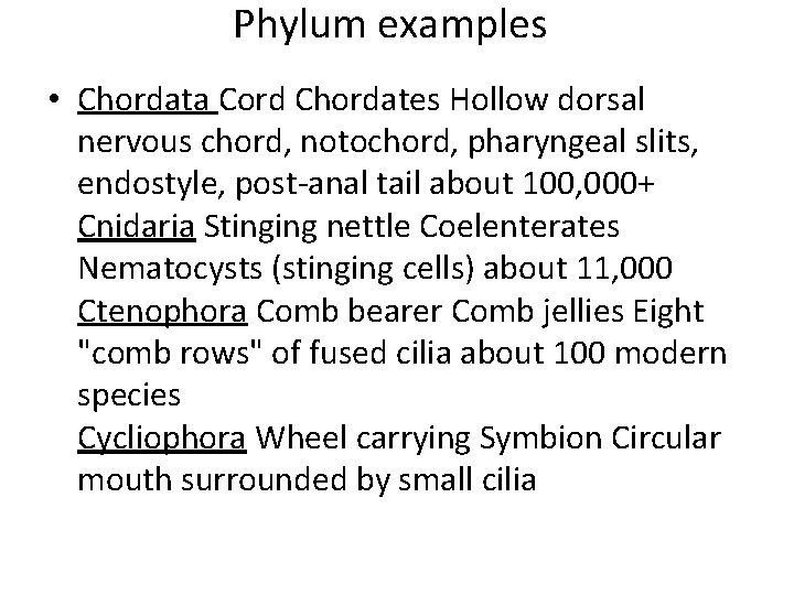 Phylum examples • Chordata Cord Chordates Hollow dorsal nervous chord, notochord, pharyngeal slits, endostyle,