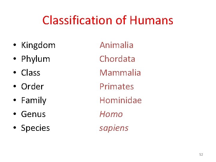 Classification of Humans • • Kingdom Phylum Class Order Family Genus Species Animalia Chordata