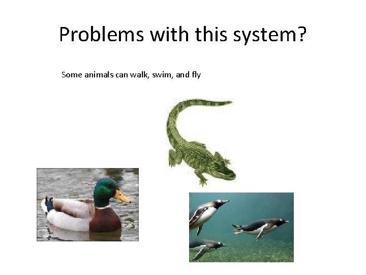 Problems with this system? Some animals can walk, swim, and fly 