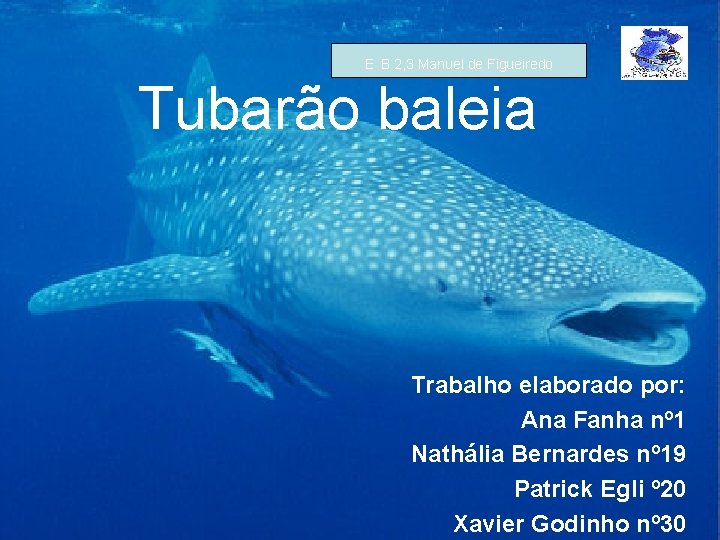 E B 2, 3 Manuel de Figueiredo Tubarão baleia Trabalho elaborado por: Ana Fanha