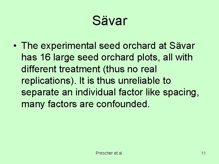 Sävar • The experimental seed orchard at Sävar has 16 large seed orchard plots,