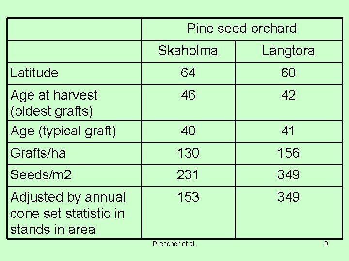 Pine seed orchard Skaholma Långtora Latitude 64 60 Age at harvest (oldest grafts) Age