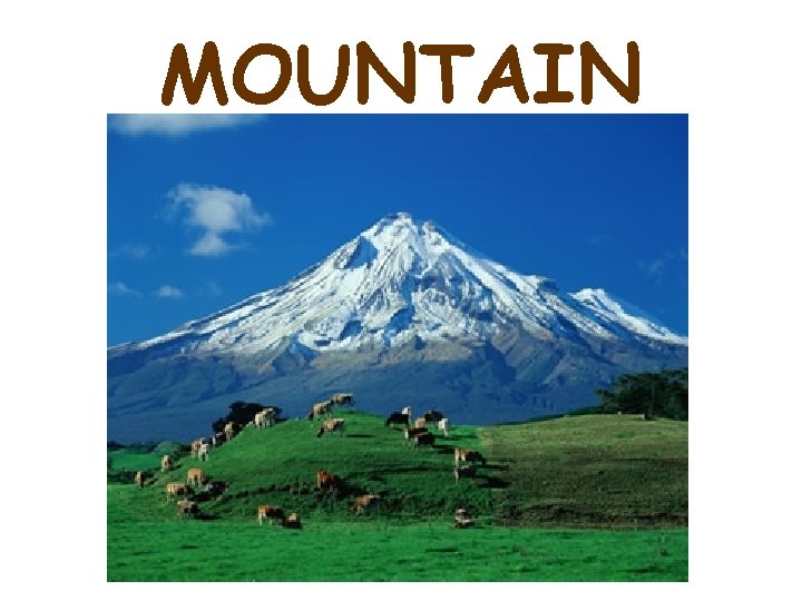 MOUNTAIN 