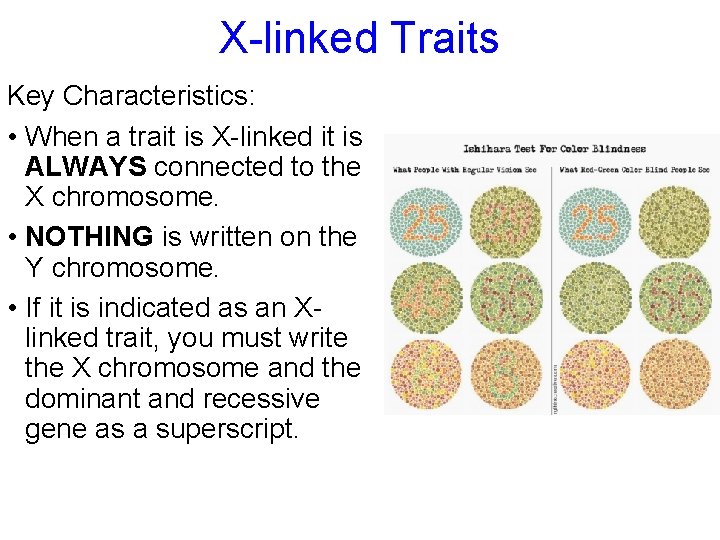 X-linked Traits Key Characteristics: • When a trait is X-linked it is ALWAYS connected