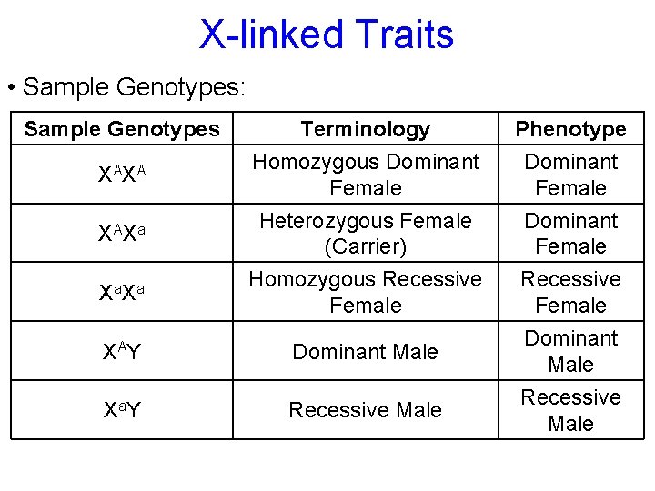 X-linked Traits • Sample Genotypes: Sample Genotypes X AX A X AX a X