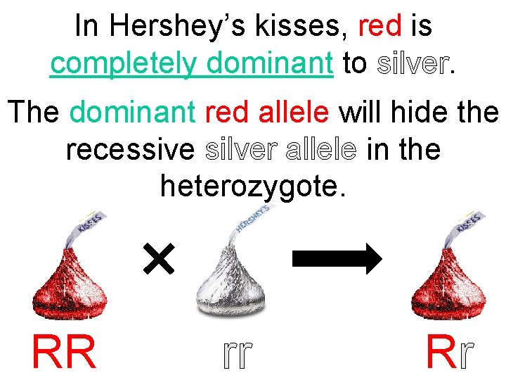 In Hershey’s kisses, red is completely dominant to silver. The dominant red allele will