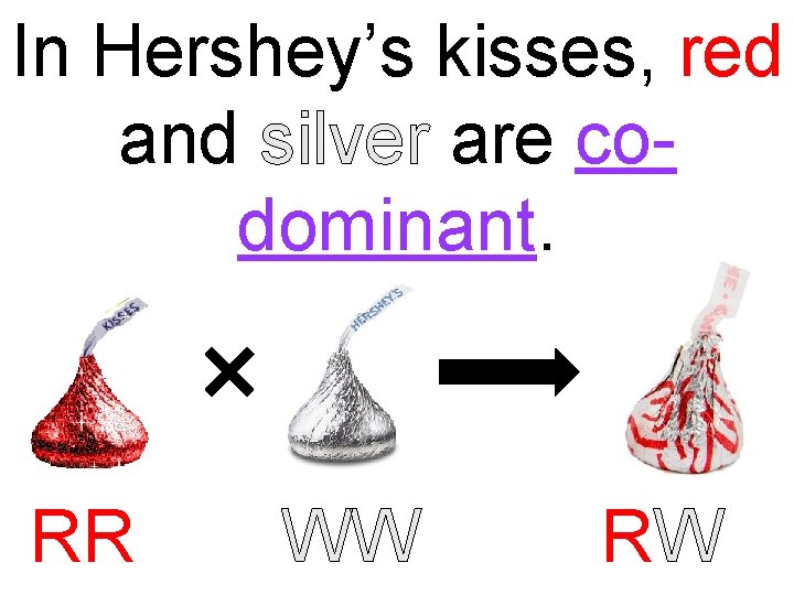 In Hershey’s kisses, red and silver are codominant. RR WW RW 