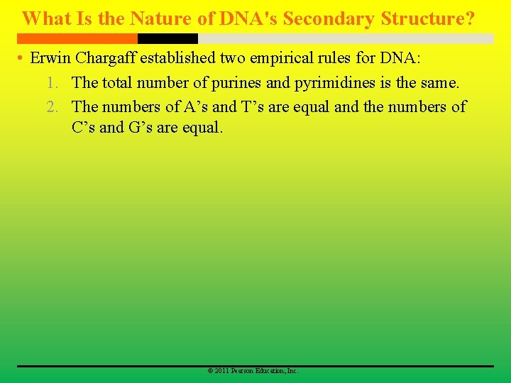 What Is the Nature of DNA's Secondary Structure? • Erwin Chargaff established two empirical