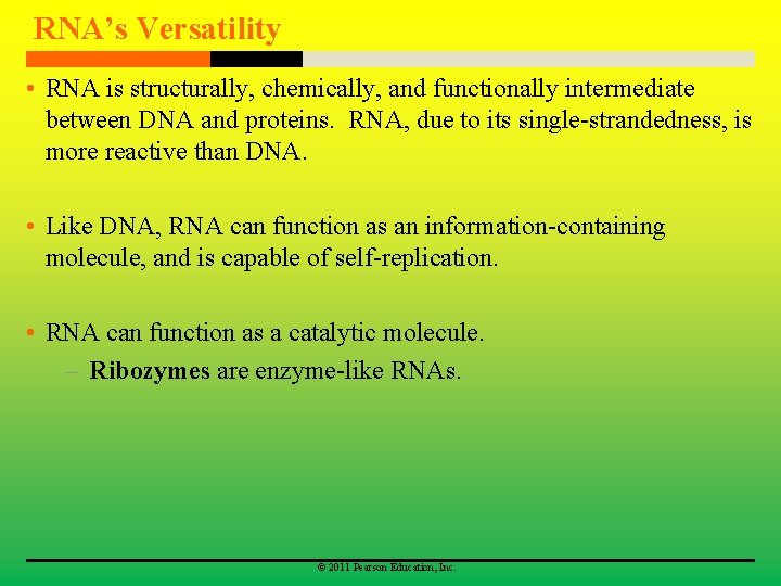 RNA’s Versatility • RNA is structurally, chemically, and functionally intermediate between DNA and proteins.