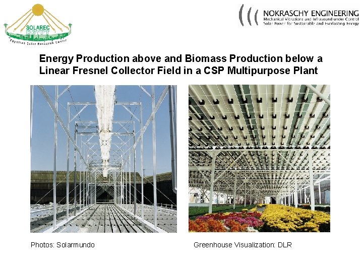 Energy Production above and Biomass Production below a Linear Fresnel Collector Field in a