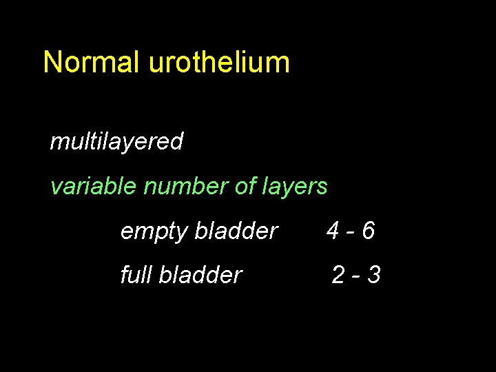 Normal urothelium multilayered variable number of layers empty bladder 4 -6 full bladder 2
