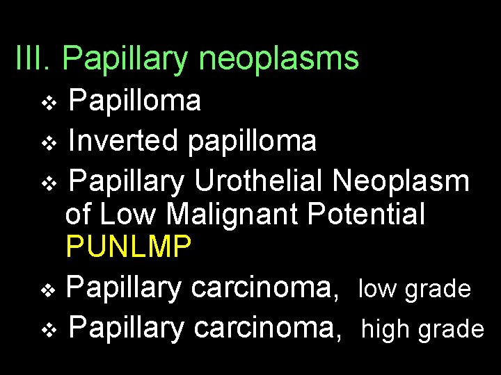 III. Papillary neoplasms v Papilloma v Inverted papilloma v Papillary Urothelial Neoplasm of Low