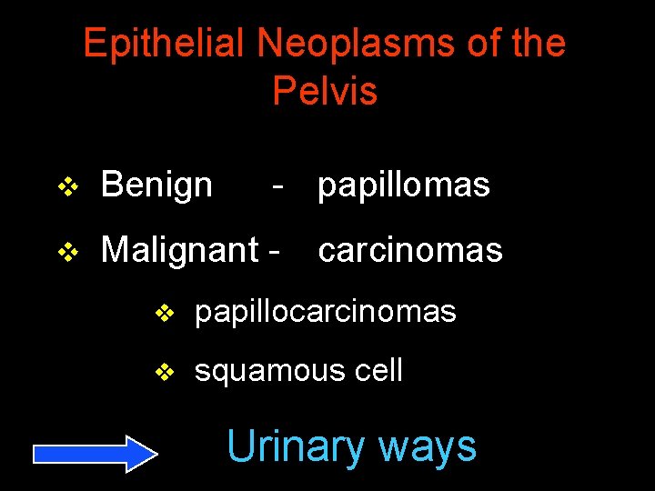 Epithelial Neoplasms of the Pelvis v Benign - papillomas v Malignant - carcinomas v