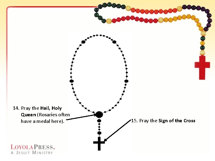 14. Pray the Hail, Holy Queen (Rosaries often have a medal here). 15. Pray