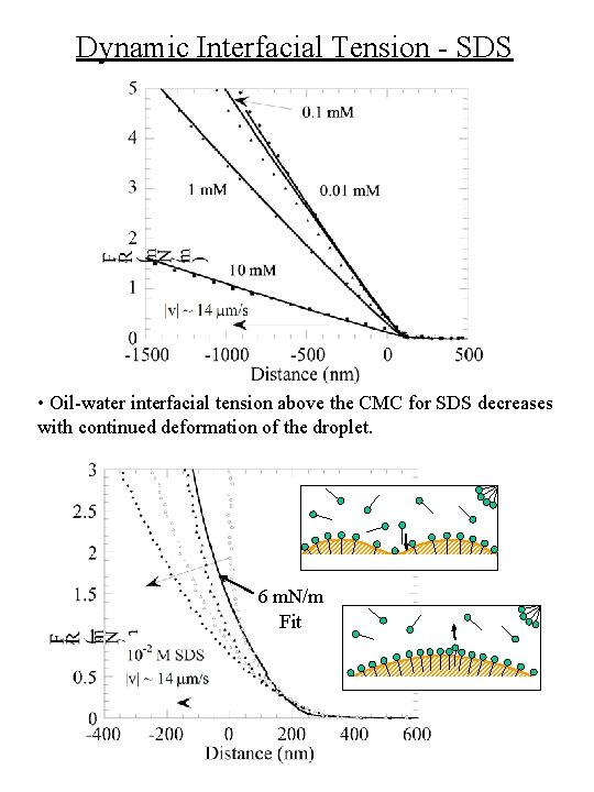 Dynamic Interfacial Tension - SDS • Oil-water interfacial tension above the CMC for SDS