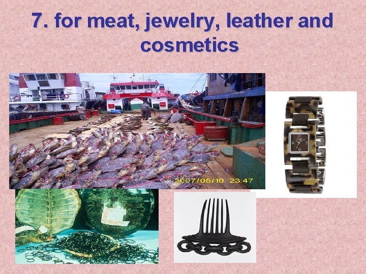 7. for meat, jewelry, leather and cosmetics 