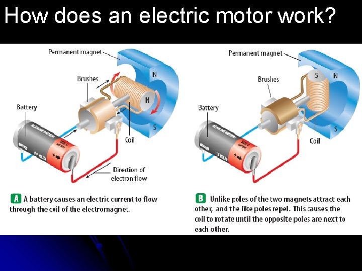 How does an electric motor work? 