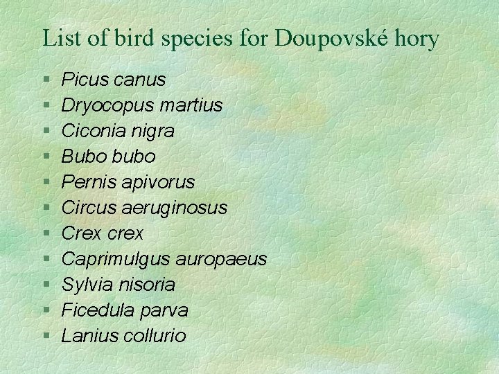 List of bird species for Doupovské hory § § § Picus canus Dryocopus martius