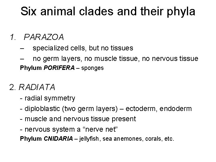 Six animal clades and their phyla 1. PARAZOA – – specialized cells, but no