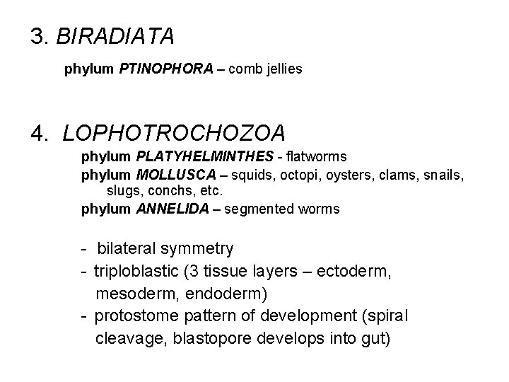 3. BIRADIATA phylum PTINOPHORA – comb jellies 4. LOPHOTROCHOZOA phylum PLATYHELMINTHES - flatworms phylum