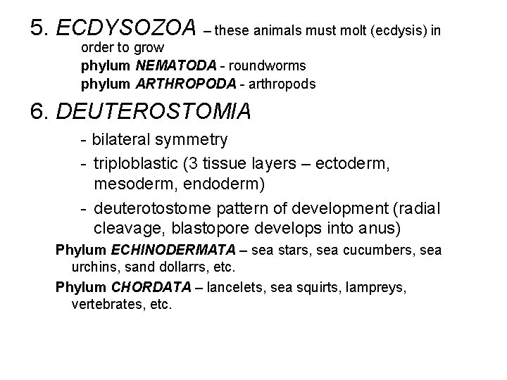 5. ECDYSOZOA – these animals must molt (ecdysis) in order to grow phylum NEMATODA