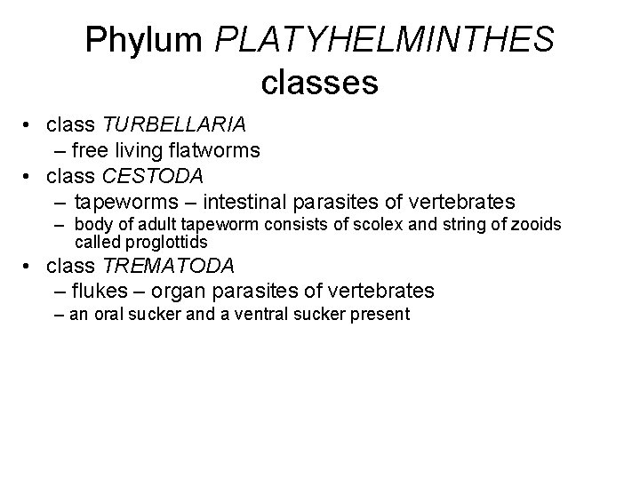 Phylum PLATYHELMINTHES classes • class TURBELLARIA – free living flatworms • class CESTODA –