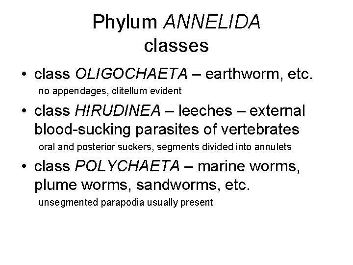 Phylum ANNELIDA classes • class OLIGOCHAETA – earthworm, etc. no appendages, clitellum evident •