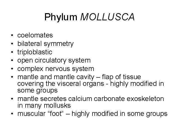 Phylum MOLLUSCA • • • coelomates bilateral symmetry triploblastic open circulatory system complex nervous