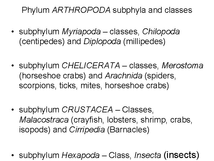 Phylum ARTHROPODA subphyla and classes • subphylum Myriapoda – classes, Chilopoda (centipedes) and Diplopoda