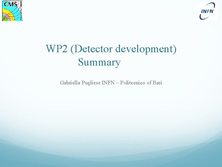 WP 2 (Detector development) Summary Gabriella Pugliese INFN – Politecnico of Bari 
