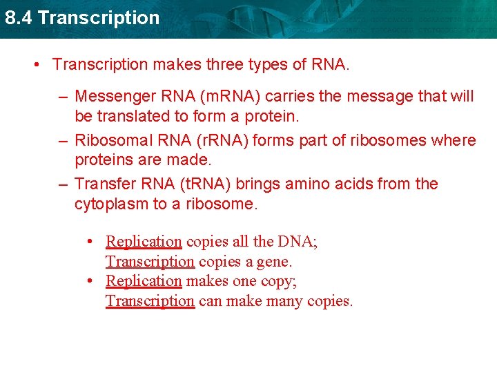 8. 4 Transcription • Transcription makes three types of RNA. – Messenger RNA (m.