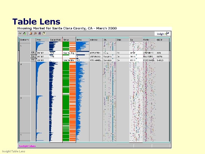 Table Lens Inxight Table Lens 