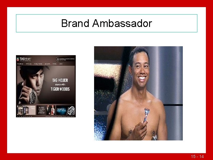 Brand Ambassador 15 - 14 