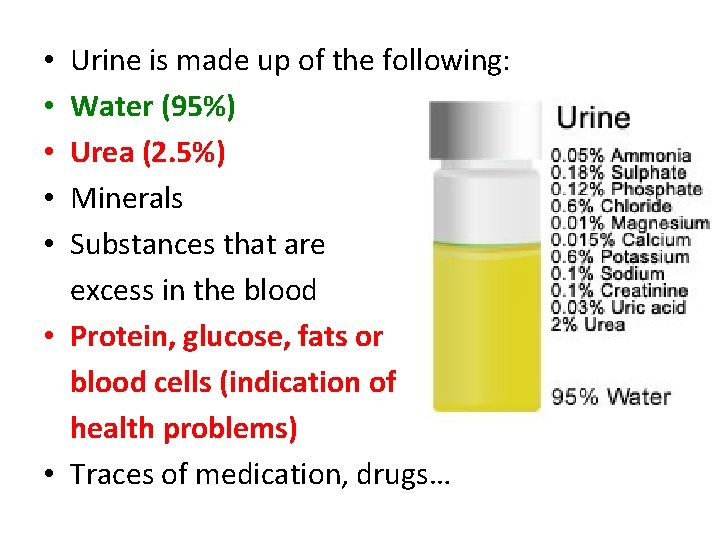 Urine is made up of the following: Water (95%) Urea (2. 5%) Minerals Substances