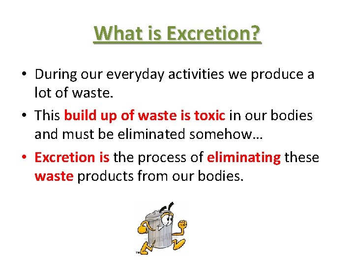 What is Excretion? • During our everyday activities we produce a lot of waste.