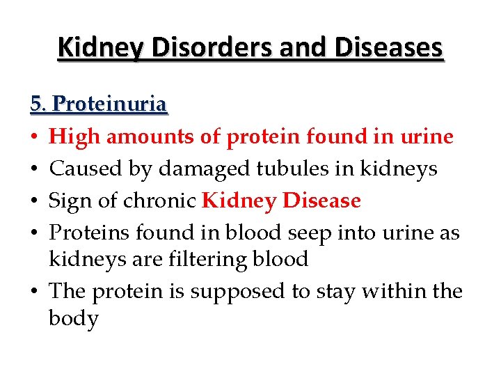 Kidney Disorders and Diseases 5. Proteinuria • High amounts of protein found in urine