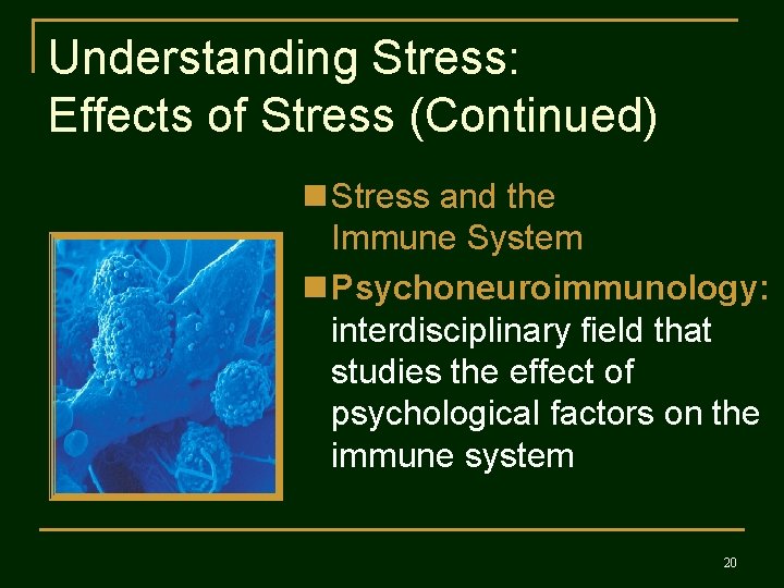 Understanding Stress: Effects of Stress (Continued) n Stress and the Immune System n Psychoneuroimmunology:
