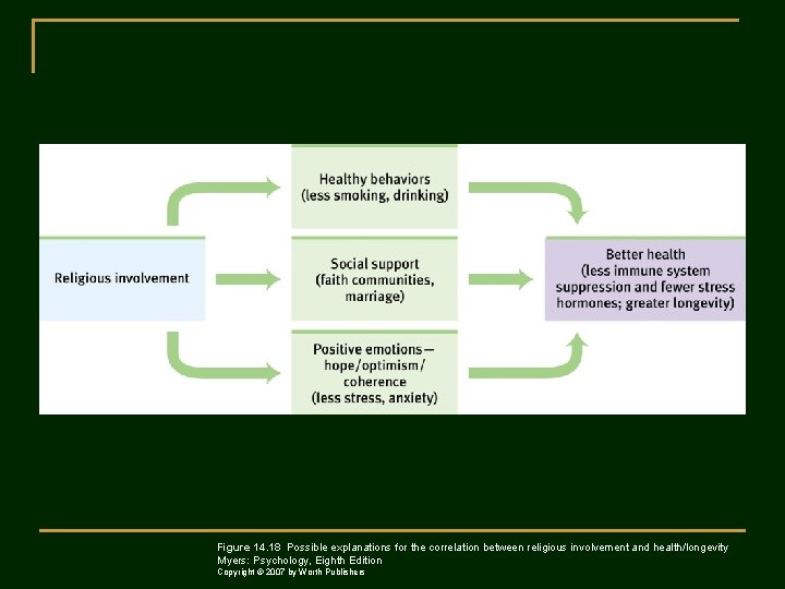 Figure 14. 18 Possible explanations for the correlation between religious involvement and health/longevity Myers: