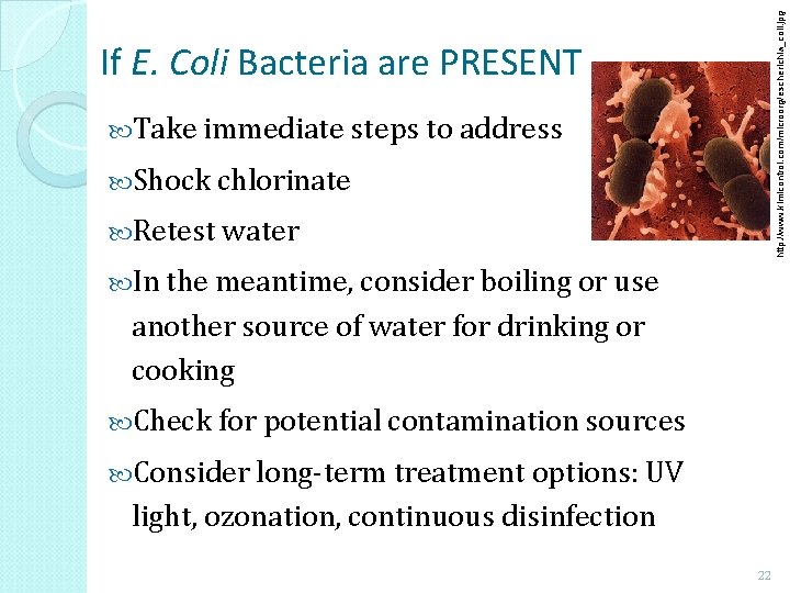 http: //www. kimicontrol. com/microorg/escherichia_coli. jpg If E. Coli Bacteria are PRESENT Take immediate steps