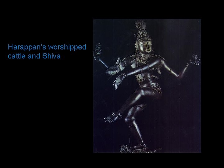 Harappan’s worshipped cattle and Shiva 