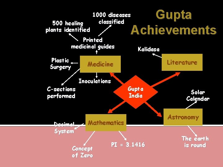 500 healing plants identified Printed medicinal guides Plastic Surgery Gupta Achievements 1000 diseases classified