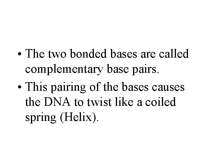  • The two bonded bases are called complementary base pairs. • This pairing