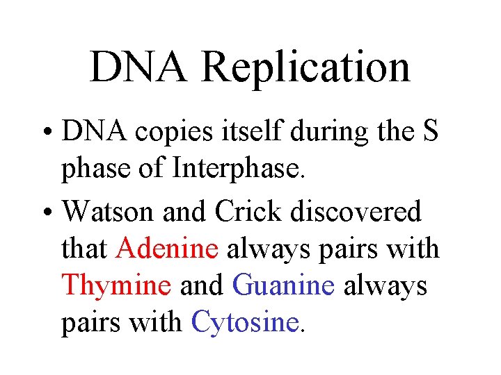 DNA Replication • DNA copies itself during the S phase of Interphase. • Watson