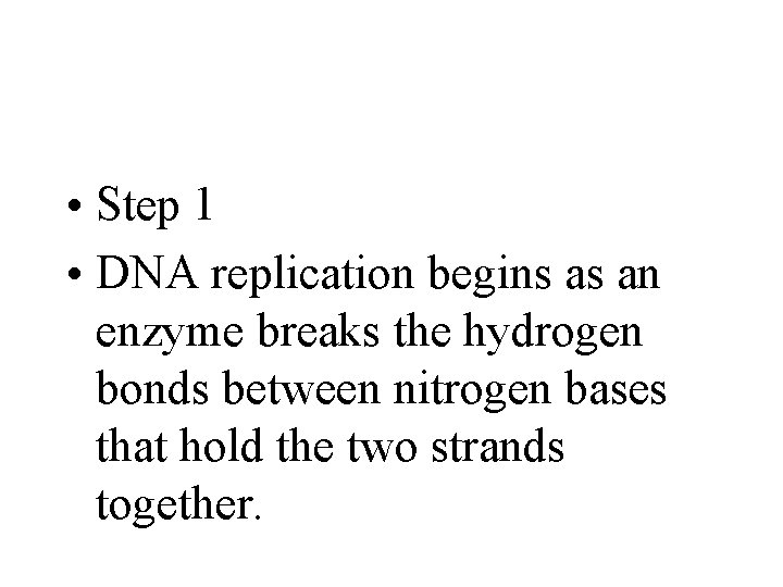  • Step 1 • DNA replication begins as an enzyme breaks the hydrogen