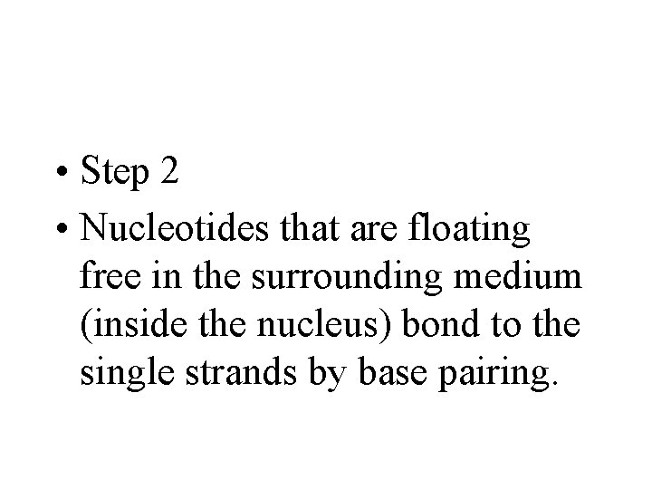  • Step 2 • Nucleotides that are floating free in the surrounding medium